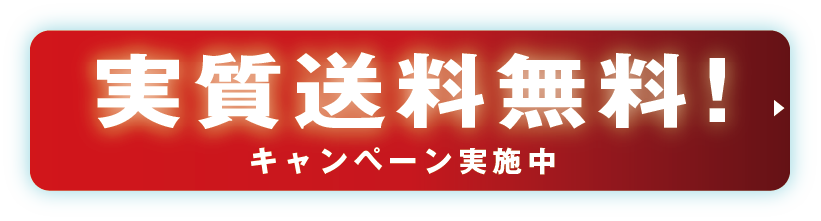 実質送料無料!キャンペーン実施中
